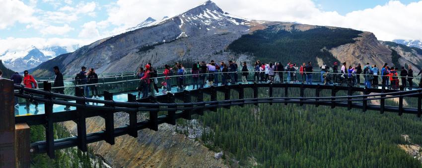 Glacier Skywalk