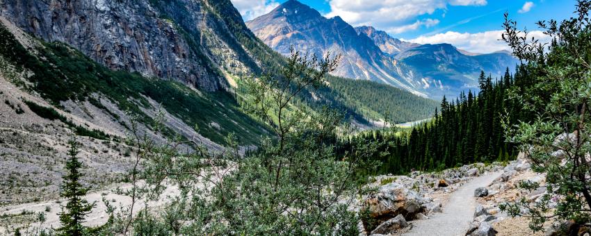 Canada - Alberta - Jasper - Mount Edith Cavell