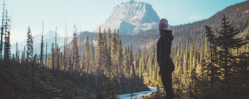 We stopped mid hike to take in all of our surroundings, nothing but quiet nature and fresh air.