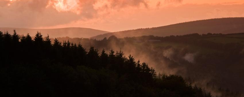 After a stormy day