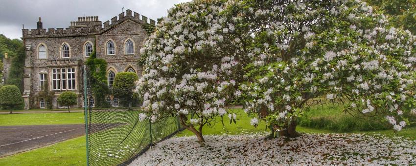 Hartland Abbey