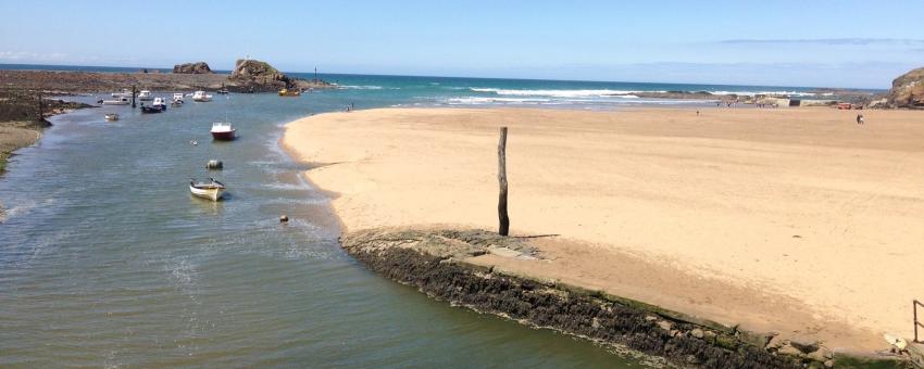 Bude Summerleaze