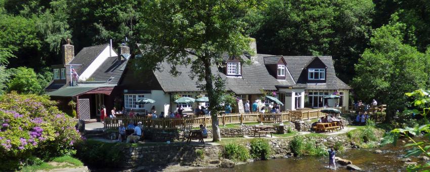 Fingle Bridge