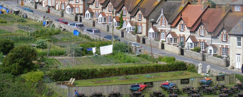 Beer, Devon, 2011