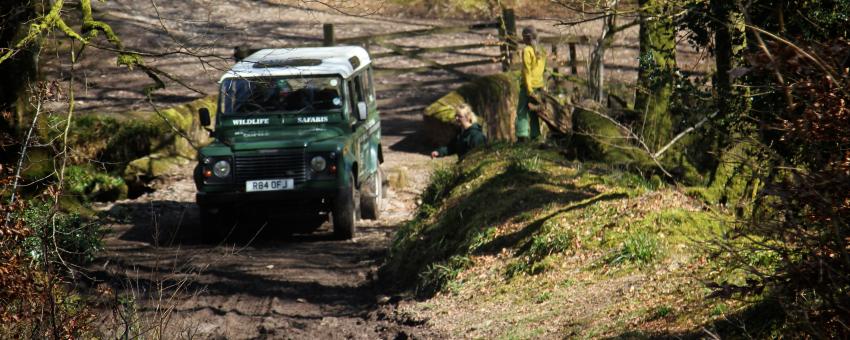 Exmoor Safari ride