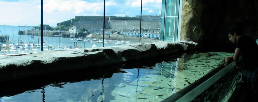 National Aquarium - Plymouth