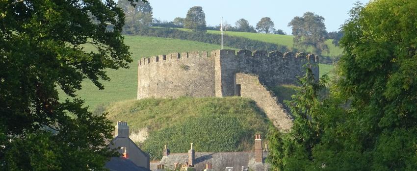 Overlooking Totnes town