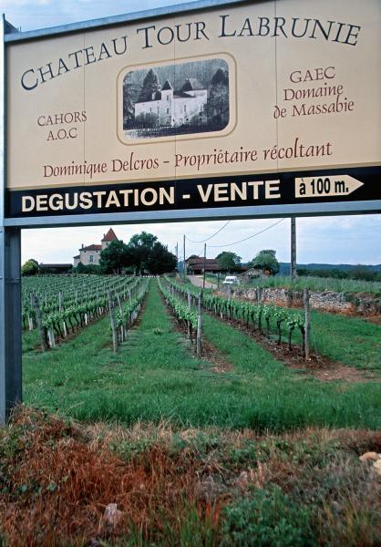 Cahors Vineyard