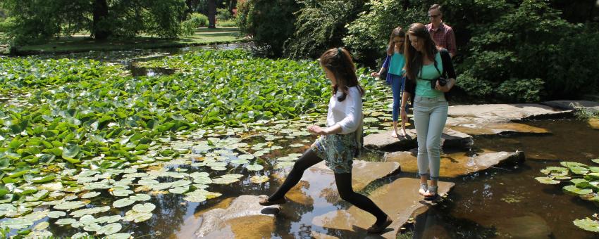 Visiting the Cambridge Botanic Gardens with Amy