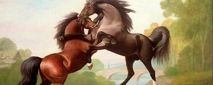 Fighting Stallions by George Stubbs