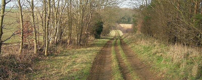 Peddars way near sedgeford norfolk