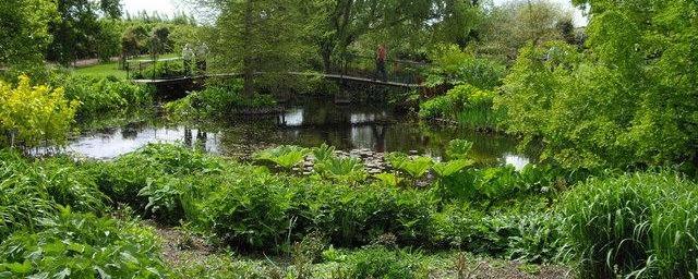 RHS Hyde Hall gardens