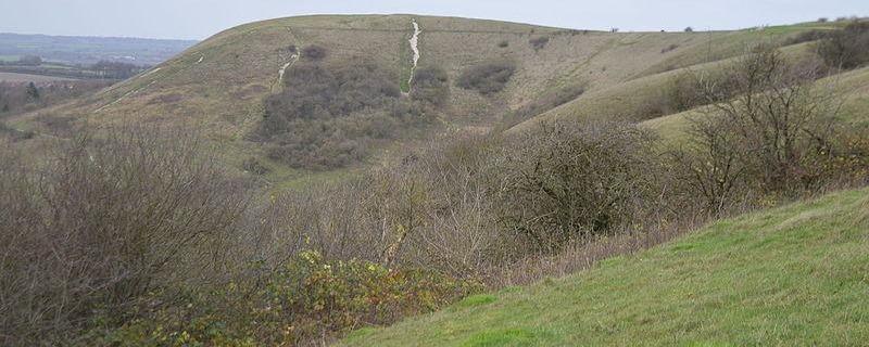 Dunstable downs