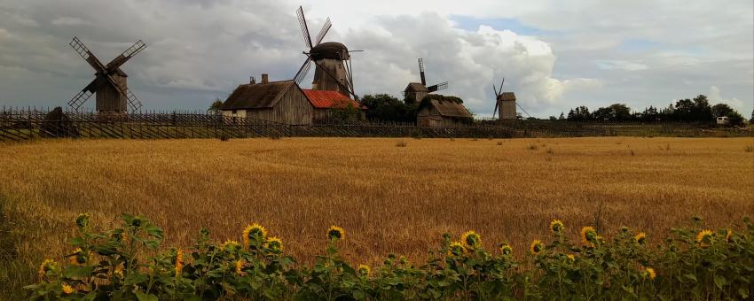 Saaremaa windmills