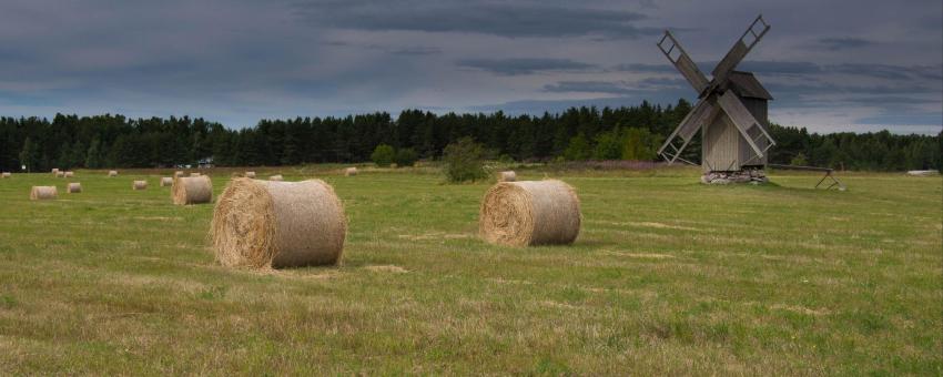 Hiiumaa landscape