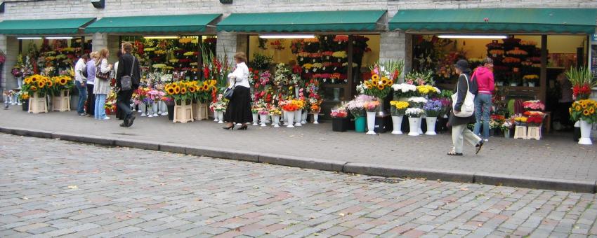 Tallinn Flower Market