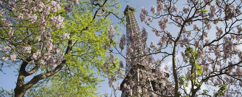 Eifel Tower in Spring