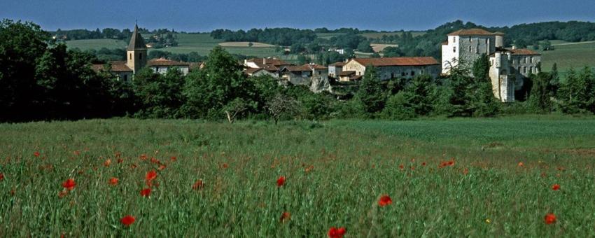 Gascony Courrensan