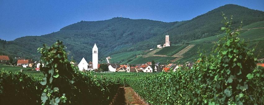 Alsace Wine Village