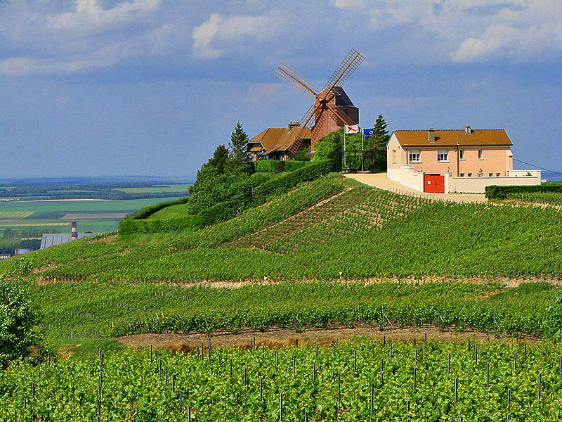 Montagne de Reims