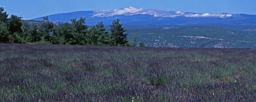 Luberon