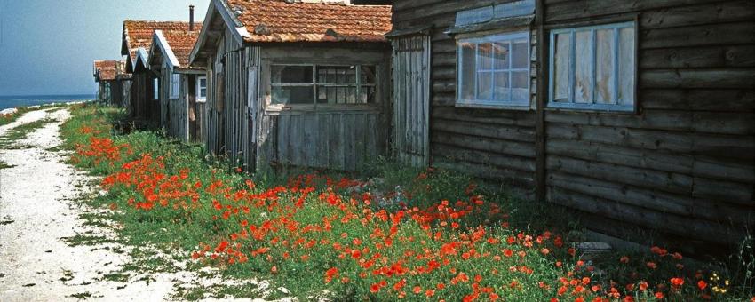 Oyster Fishermens Cottages Gujan Mistras