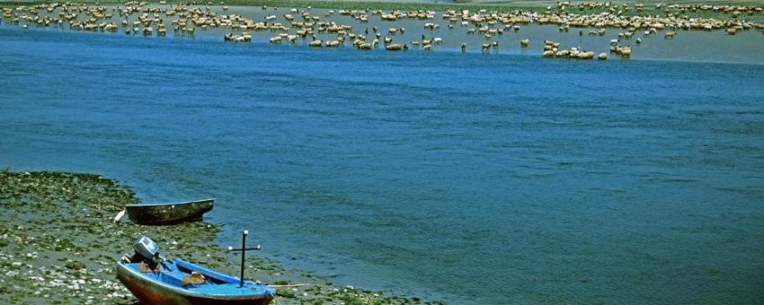 River Somme & the mollières (salt pastures) at