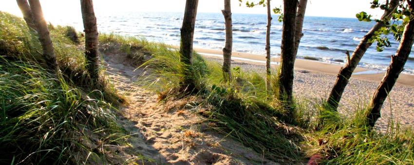 Indiana Dunes & Lake Michigan Shoreline