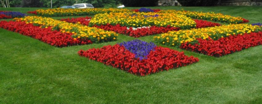 Quilt Garden at the Old Bag Factory