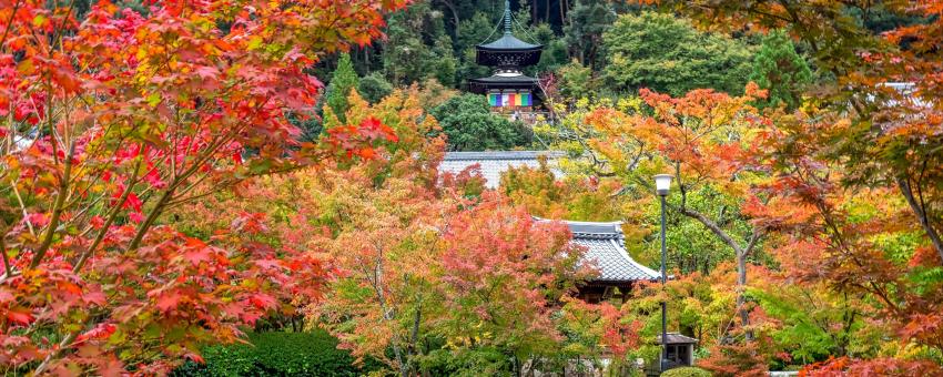 Eikan-do Temple