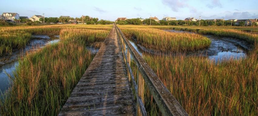 Pawley's Island, SC