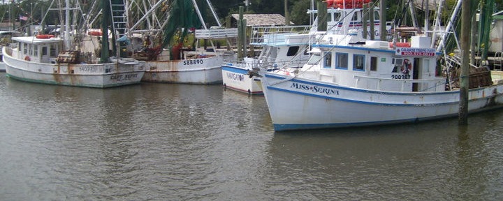 Shrimpers on the Calabash River