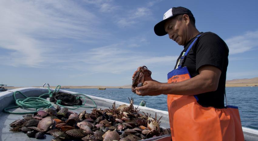 Atenas Beach Fisherman Paracas