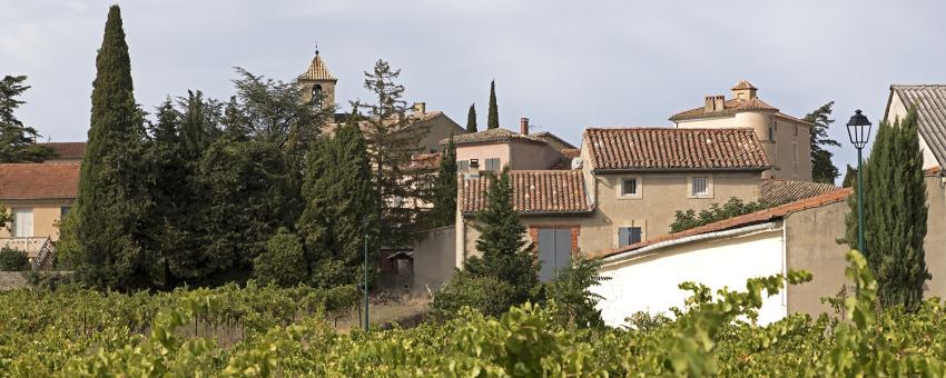 Vacqueras Vineyard