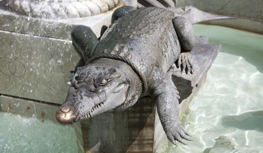 The chained crocodile at Nîmes