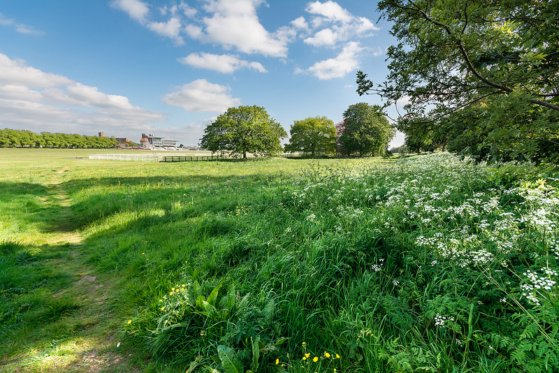 York Knavesmire