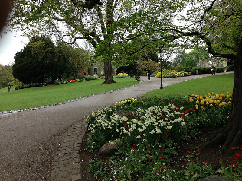 Museum Gardens Flowers