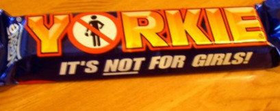 no yorkie's for you!